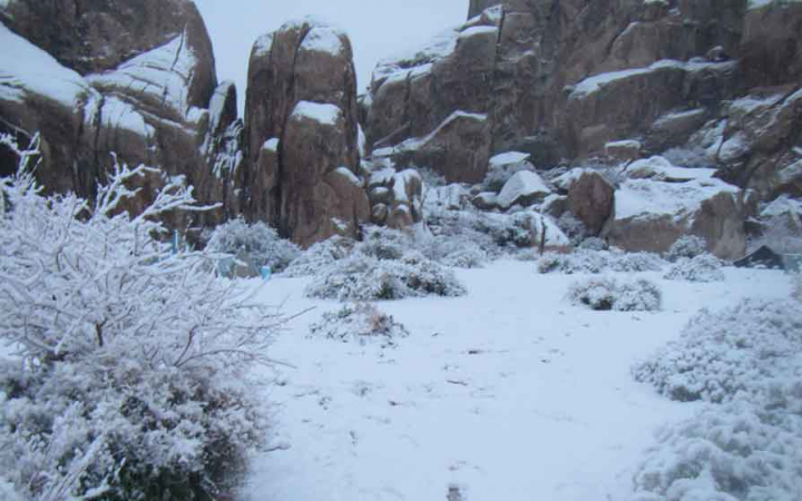 Snow covers shrubs, rocks and boulders in Joshua Tree National Park.